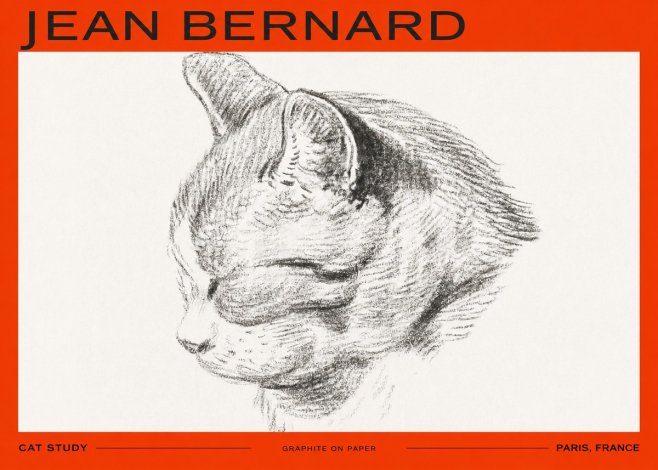 Jean Bernard Cat Study I No2 - Affiche