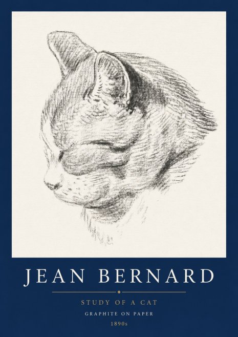 Jean Bernard Cat Study I No5 - Affiche