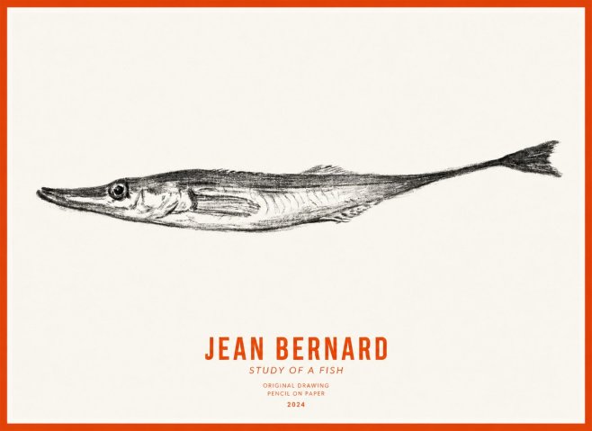 Jean Bernard Study of a Fish I No3 - Affiche