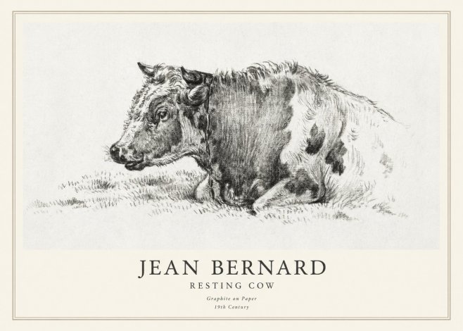 Jean Bernard Resting Cow I No1 - Affiche