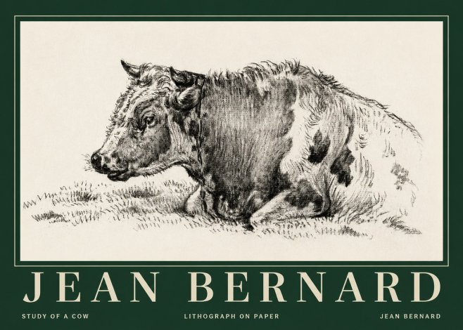 Jean Bernard Resting Cow I No5 - Affiche