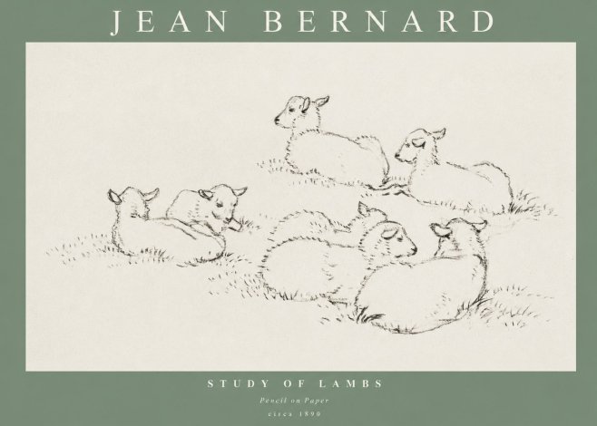 Jean Bernard Study of Lambs No1 - Affiche