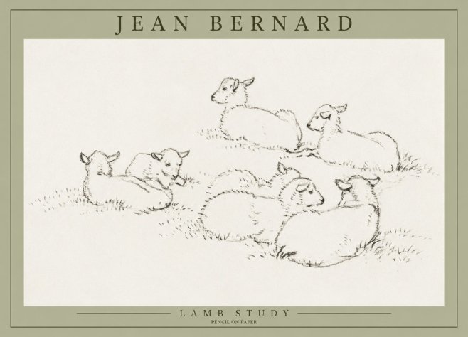 Jean Bernard Study of Lambs No3 - Affiche