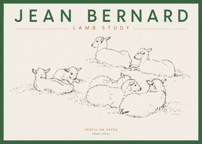 Jean Bernard Study of Lambs No5 - Affiche