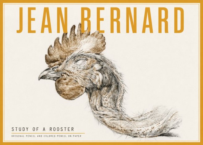 Jean Bernard Study of a Rooster Head No5 - Affiche