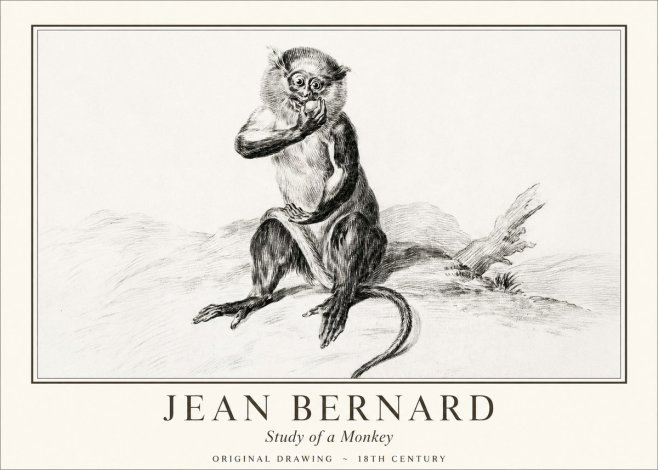 Jean Bernard Study of a Monkey No1 - Affiche