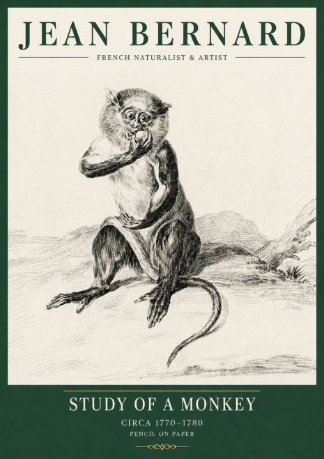 Jean Bernard Study of a Monkey No5 - Affiche