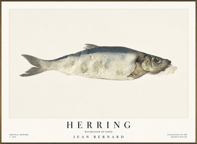 Jean Bernard Herring No1 - Affiche