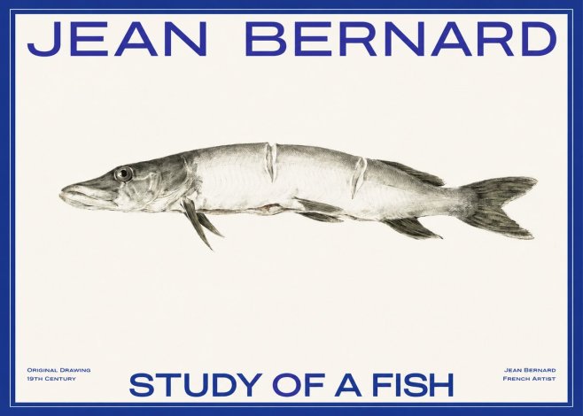Jean Bernard Study of a Fish II No2 - Affiche