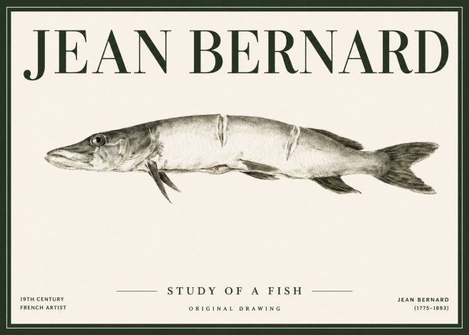 Jean Bernard Study of a Fish II No4 - Affiche