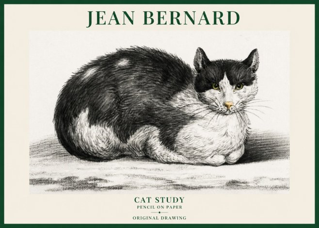 Jean Bernard Cat Study II No6 - Affiche