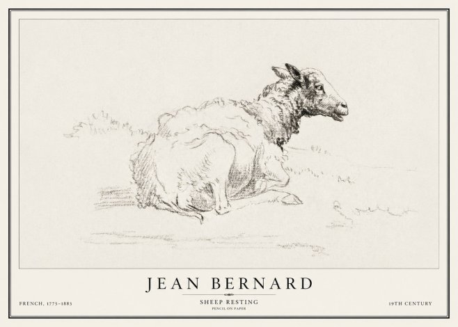 Jean Bernard Sheep Resting No1 - Affiche