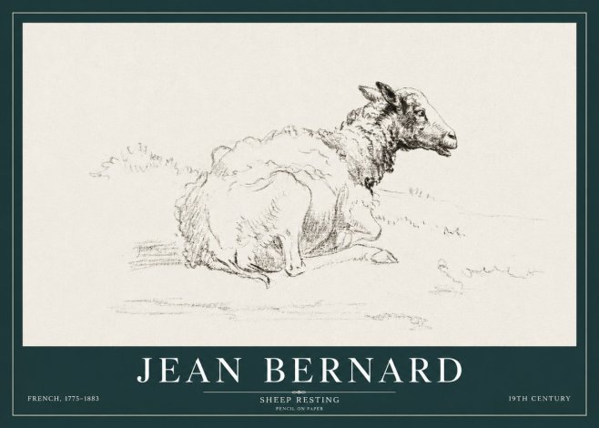 Jean Bernard Sheep Resting No3 - Affiche