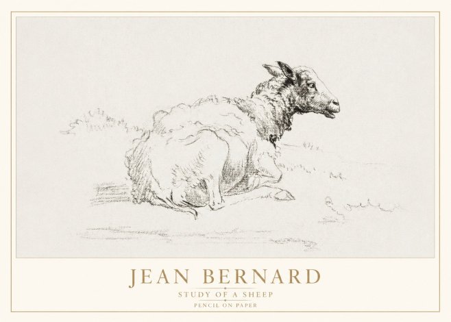 Jean Bernard Sheep Resting No4 - Affiche