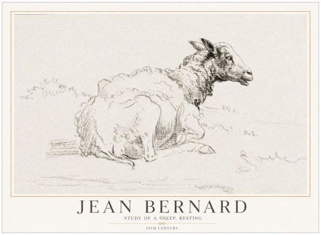 Jean Bernard Sheep Resting No5 - Affiche