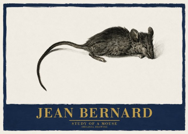 Jean Bernard Study of a Mouse I No2 - Affiche