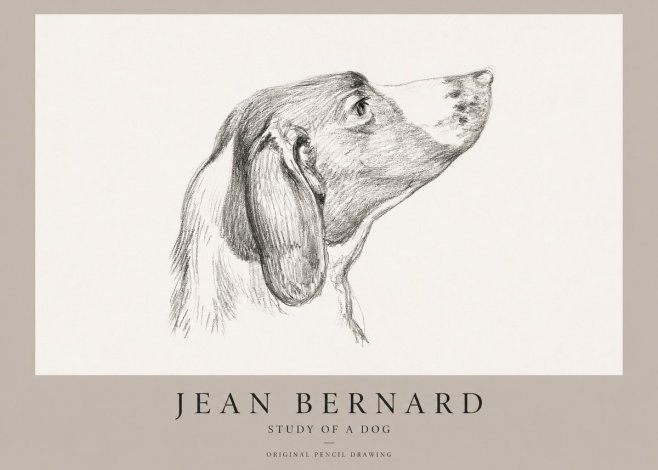 Jean Bernard Study of a Dog I No1 - Affiche