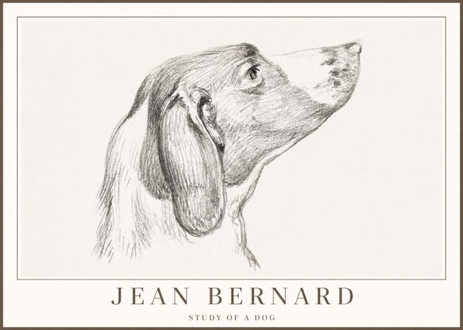 Jean Bernard Study of a Dog I No2 - Affiche