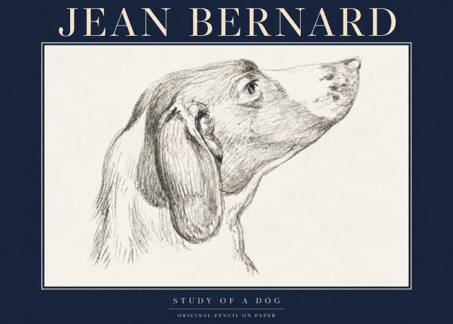 Jean Bernard Study of a Dog I No4 - Affiche