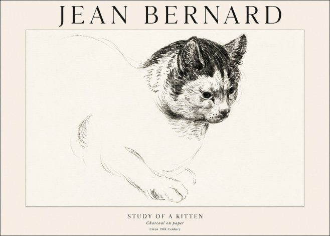 Jean Bernard Study of a Kitten I No1 - Affiche