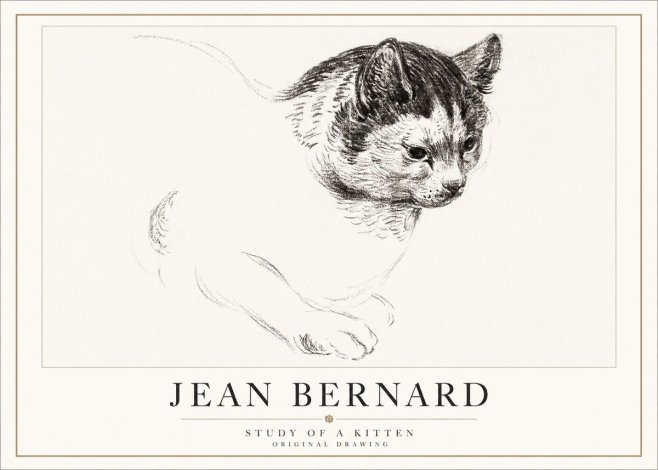 Jean Bernard Study of a Kitten I No5 - Affiche