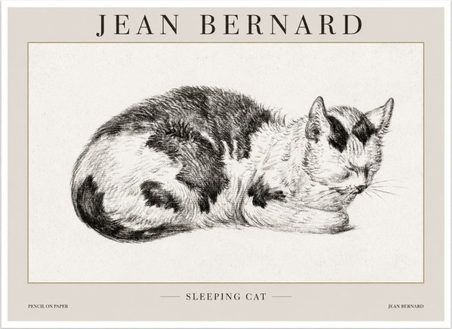 Jean Bernard Sleeping Cat I No1 - Affiche