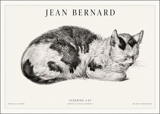 Jean Bernard Sleeping Cat I No5 - Affiche