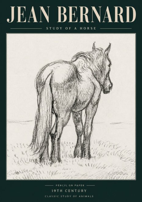Jean Bernard Study of a Horse II No5 - Affiche