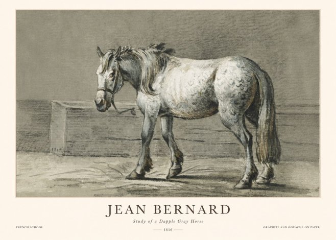Jean Bernard Study of a Dapple Gray Horse No1 - Affiche
