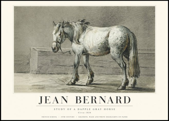 Jean Bernard Study of a Dapple Gray Horse No3 - Affiche