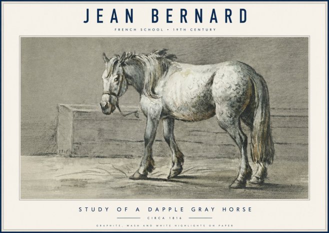 Jean Bernard Study of a Dapple Gray Horse No6 - Affiche