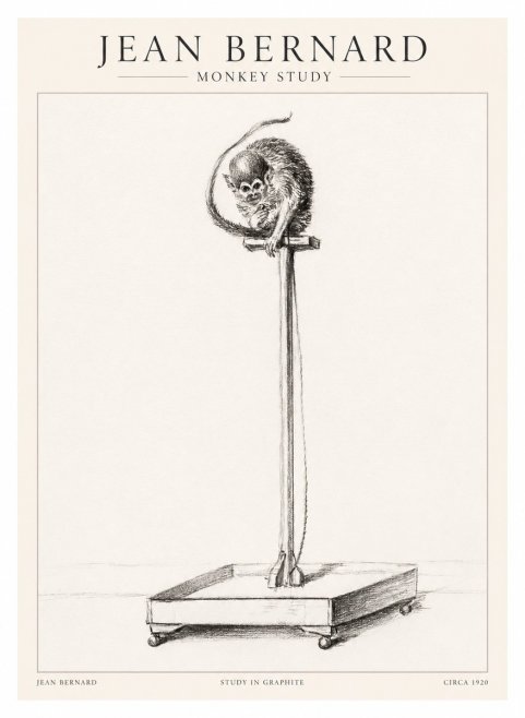 Jean Bernard Monkey Study No1 - Affiche