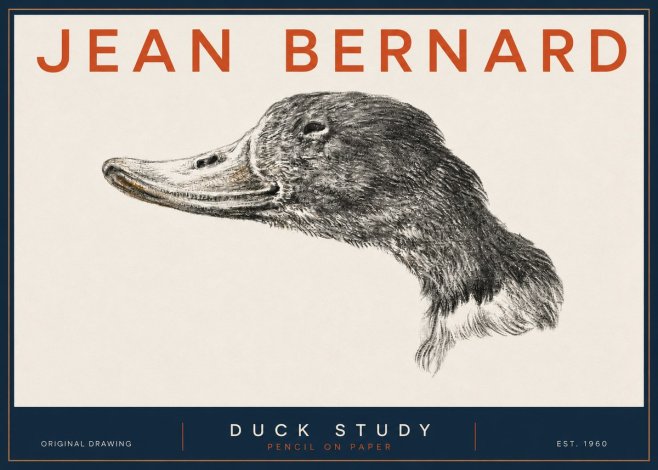 Jean Bernard Study of a Duck No5 - Affiche