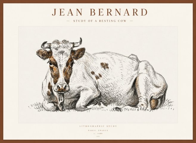 Jean Bernard Study of a Resting Cow III No1 - Affiche