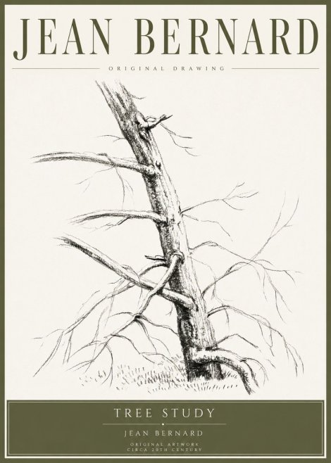 Jean Bernard Tree Study No4 - Affiche