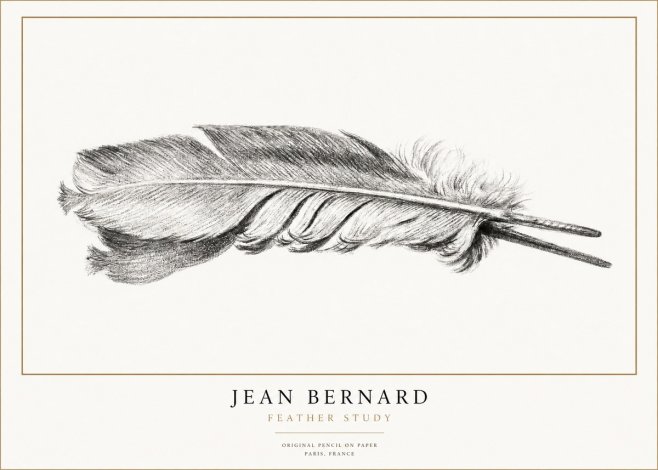 Jean Bernard Feather No3 - Affiche