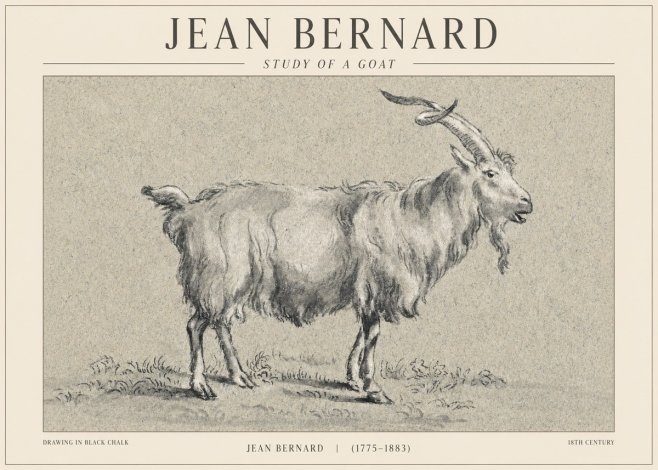 Jean Bernard Study of a Goat II No1 - Affiche