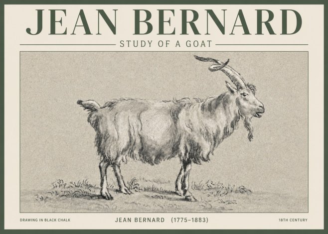 Jean Bernard Study of a Goat II No3 - Affiche