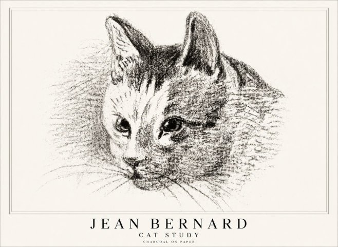 Jean Bernard Cat Study III No1 - Affiche