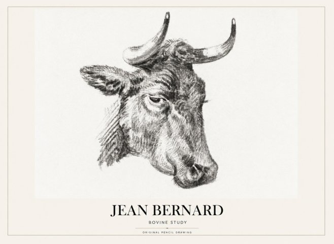 Jean Bernard Bovine Study I No1 - Affiche