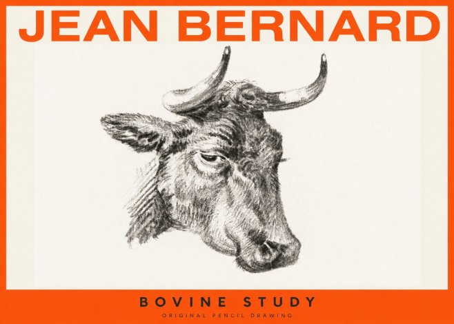 Jean Bernard Bovine Study I No2 - Affiche