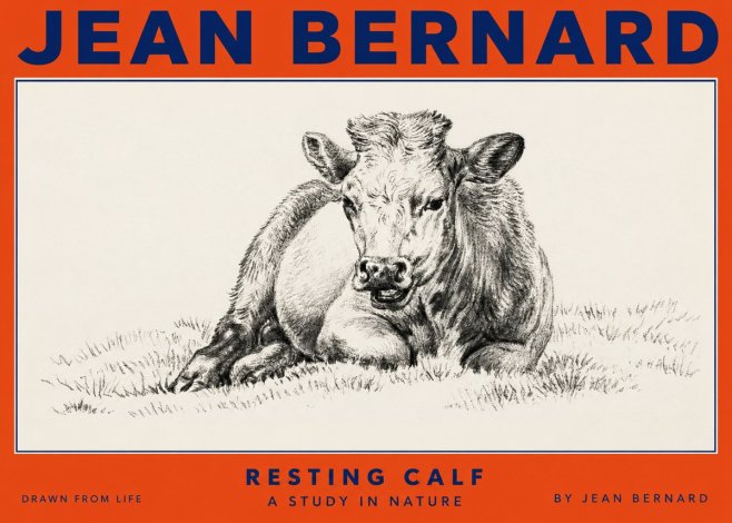 Jean Bernard Resting Calf I No2 - Affiche