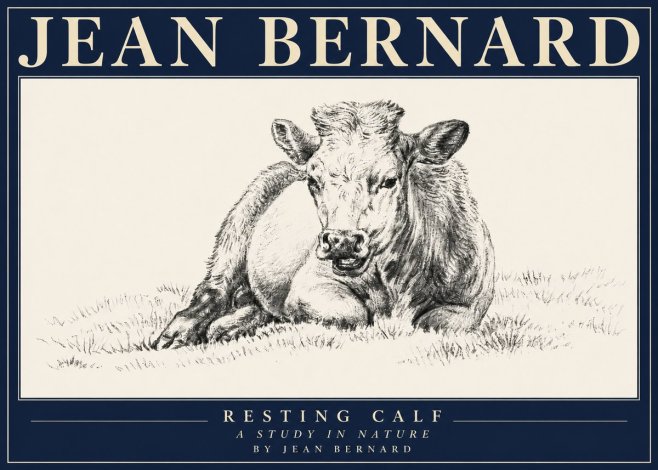 Jean Bernard Resting Calf I No4 - Affiche