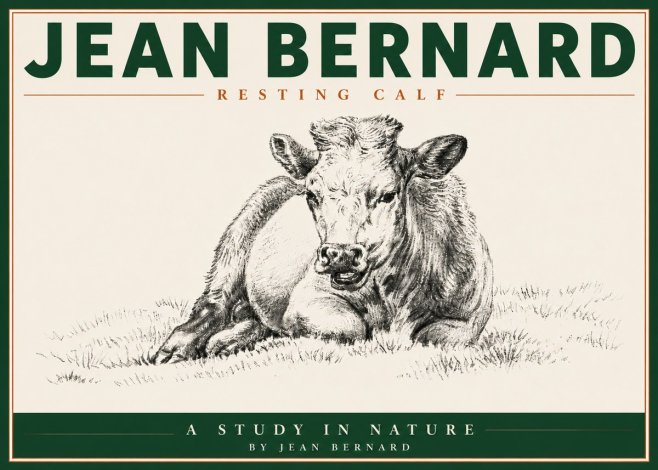 Jean Bernard Resting Calf I No5 - Affiche