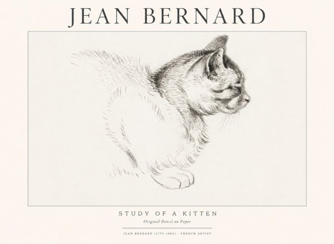 Jean Bernard Study of a Kitten II No1 - Affiche