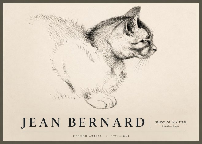 Jean Bernard Study of a Kitten II No2 - Affiche