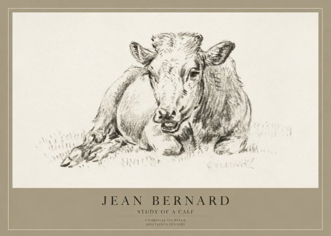 Jean Bernard Resting Calf II No4 - Affiche