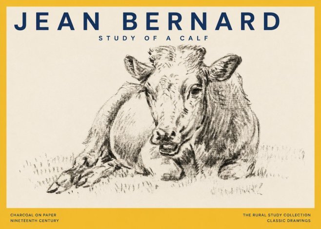 Jean Bernard Resting Calf II No5 - Affiche