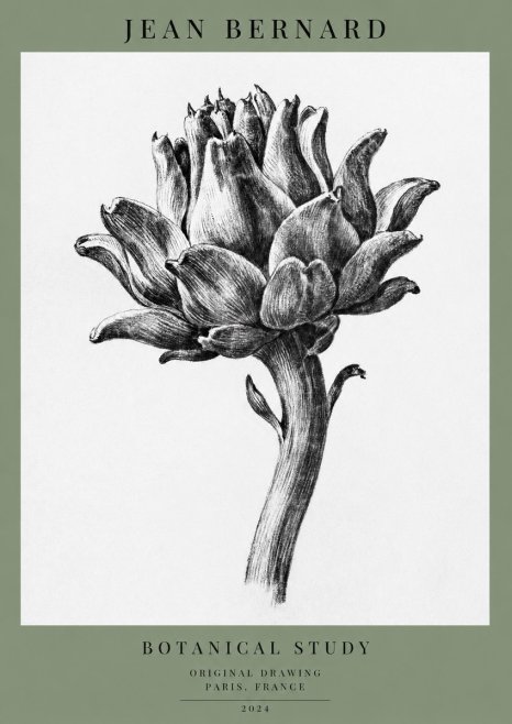 Jean Bernard Botanical Study No1 - Affiche