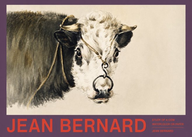 Jean Bernard Study of a Cow I No2 - Affiche